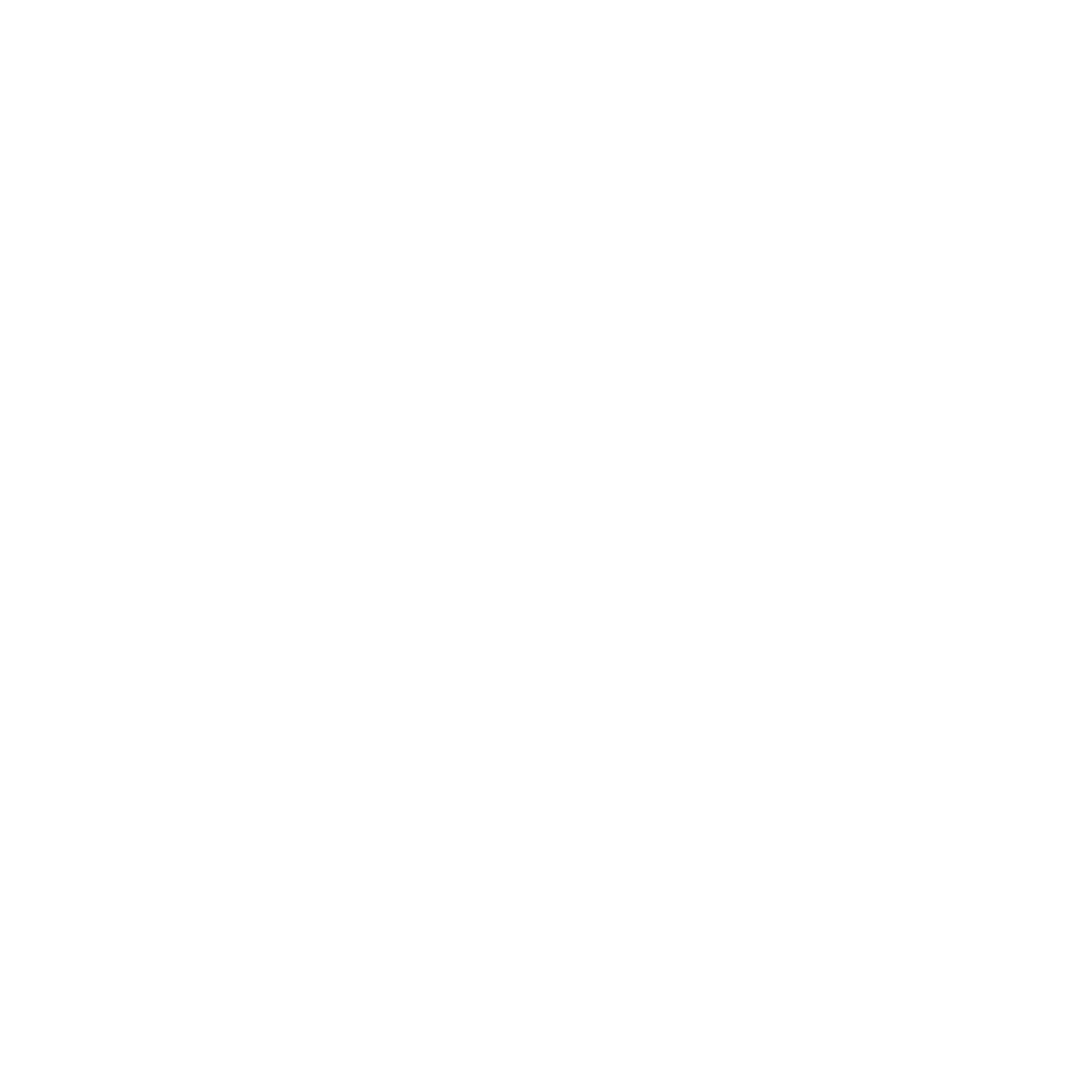 La Vaca Sagrada India Tours